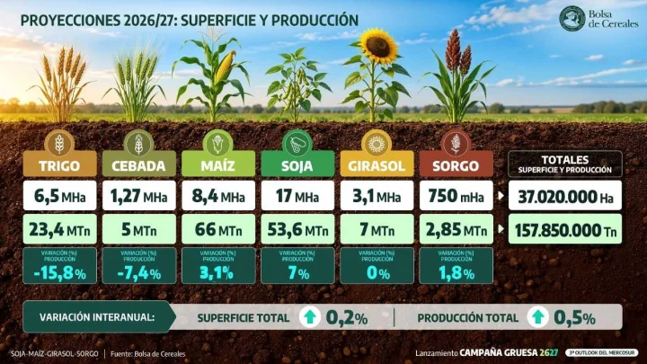 Proyecciones de producción - Bolsa de Cereales