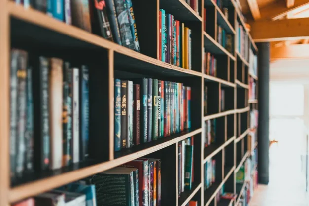 Libros coloridos organizados de manera ordenada en estantes modernos en una biblioteca luminosa.