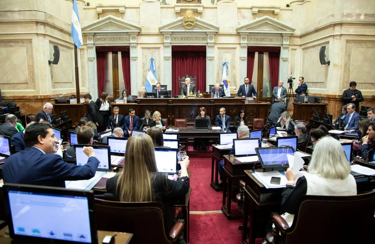 Con celeridad el Senado sancionó la reforma al régimen de subsidios al gas en Zona Fría