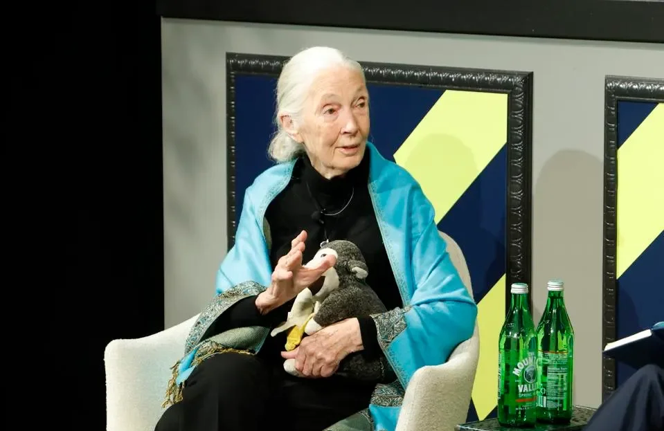 El legado de Jane Goodall sigue vigente: las lecciones que dejó para proteger el planeta  