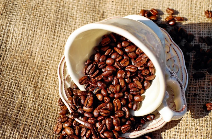 café, taza de café, porcelana, granos de café, cafe tostado, cafeína, granos de café tostados, taza, café, café, café, café, café
