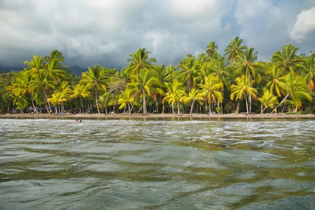 Palmeras tropicales junto a una playa en Costa Rica bajo cielos nublados.