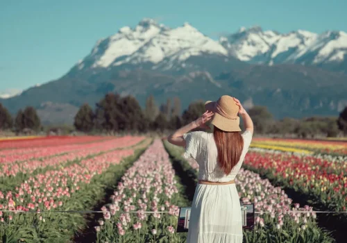 Arranca la temporada de tulipanes en Trevelin: qué hacer en el pueblo patagónico elegido entre los mejores del mundo