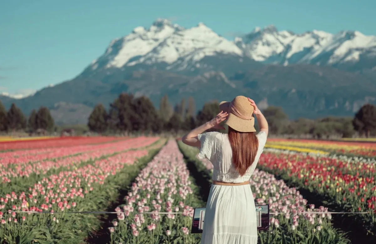 Arranca la temporada de tulipanes en Trevelin: qué hacer en el pueblo patagónico elegido entre los mejores del mundo