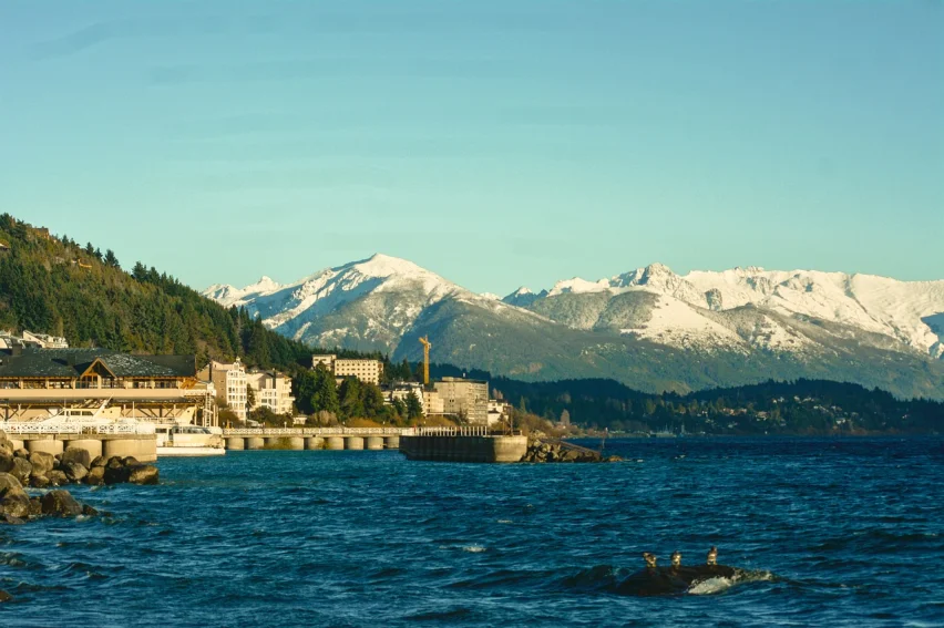 montaña, bosque, ciudad, lago, gaviotas, turismo, montañas, paisaje, bosques, naturaleza, árboles, cielo, nubes, hermosa, bariloche, argentina, barilo