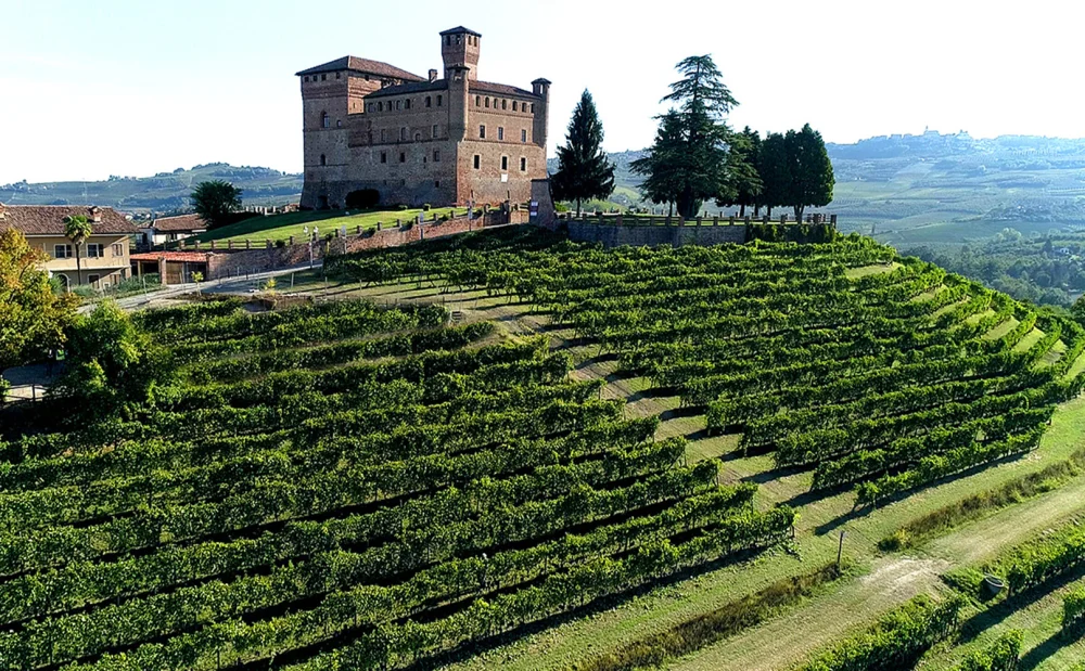 Subasta Vigna Gustava Barolo Fondazione CRC Donare ETS - FOTO: Fondazione CRC Donare ETS