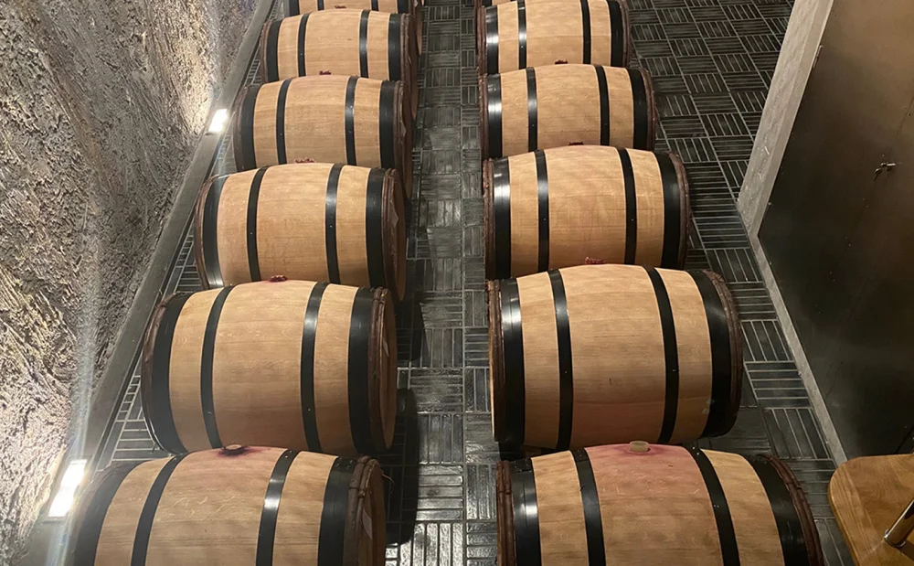Subasta Vigna Gustava Barolo Fondazione CRC Donare ETS - FOTO: Fondazione CRC Donare ETS